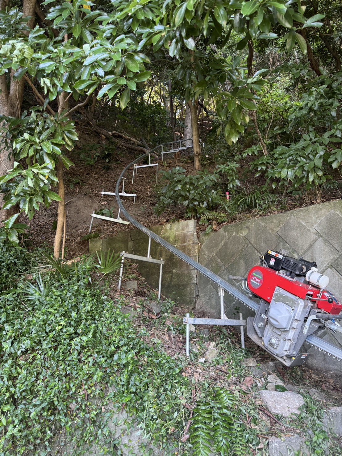 神奈川県逗子市